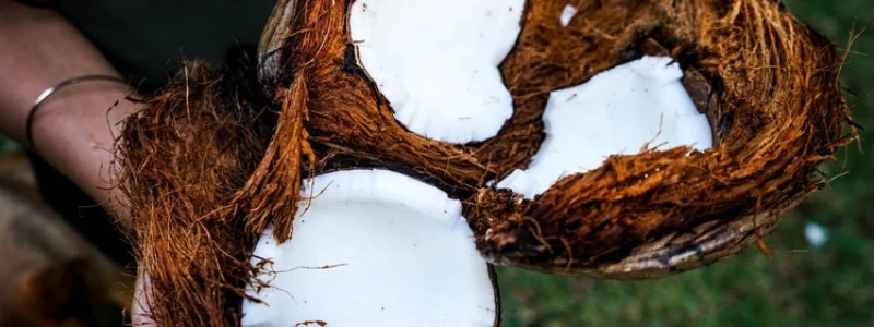 como-tratar-a-hiperidrose-óleo-de-coco